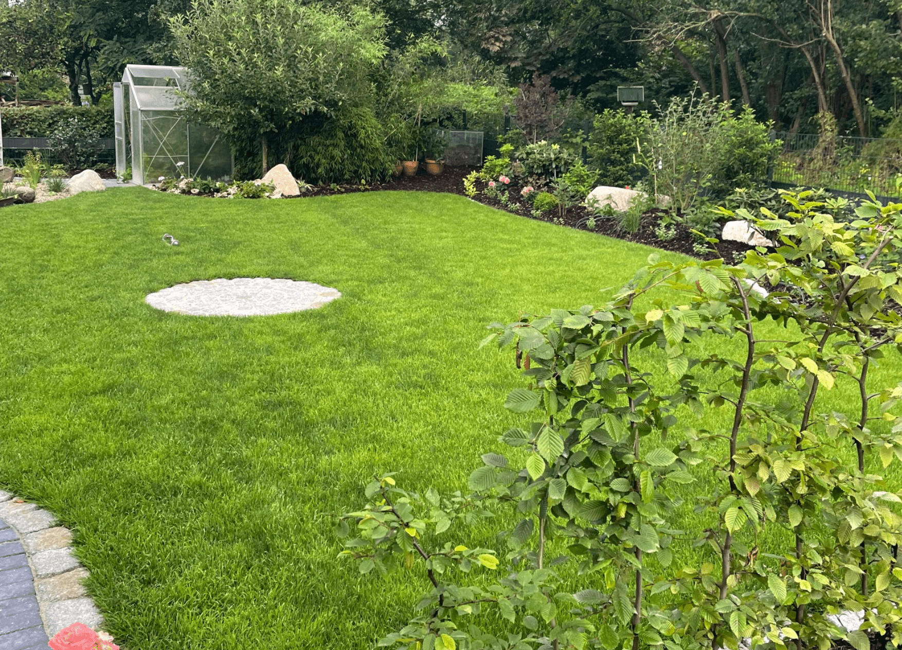 rasen-groß_optimized